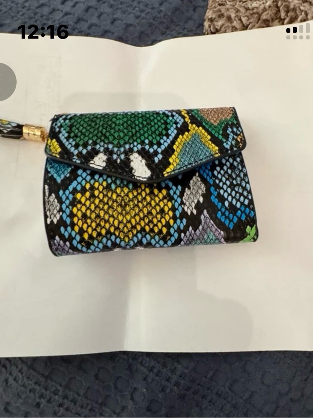Multicolor Snakeskin-Print Wristlet Clutch